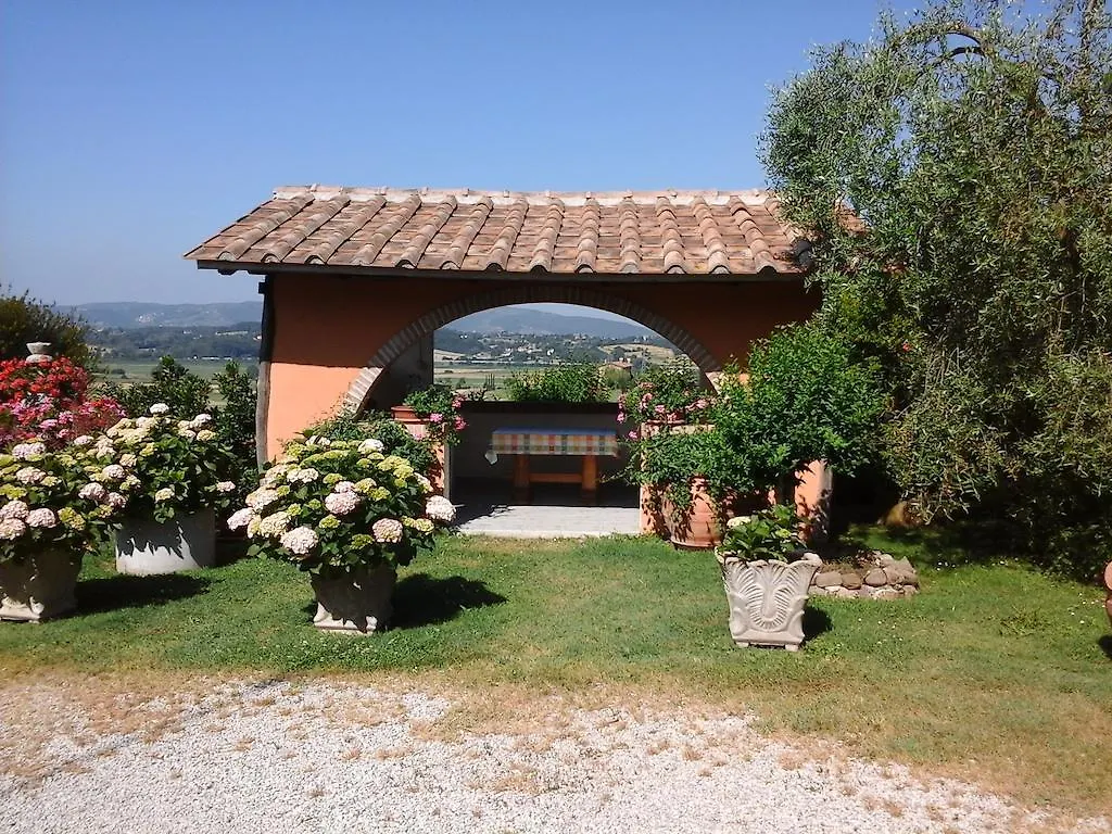 Farm stay Agriturismo Menchetti Pieve Vecchia  Italy
