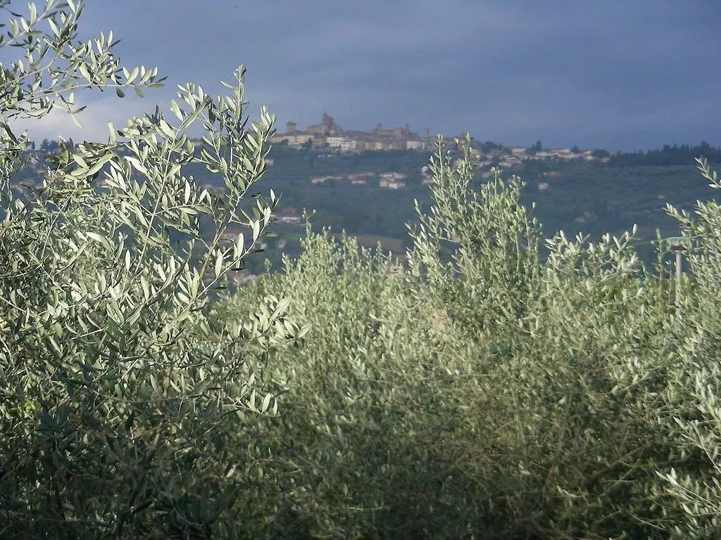 Farm stay Agriturismo Menchetti Pieve Vecchia