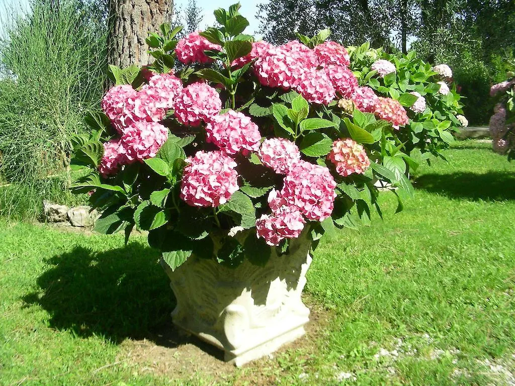 Agriturismo Menchetti Pieve Vecchia  Farm stay